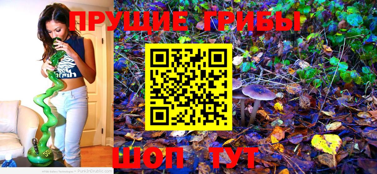 Псилоцибиновые грибы мицелий Лянтор